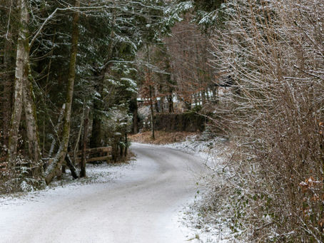 quite path as we move through the last week before the new moon