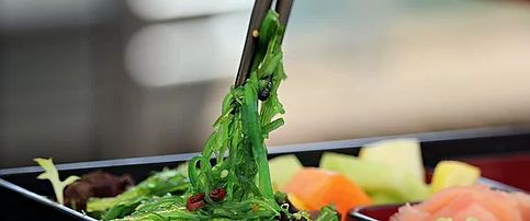 wakame.webp