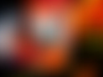 Interview Marc Torfinn