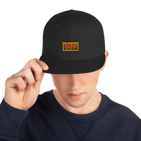 milb snapbacks