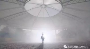 More than Just Riding