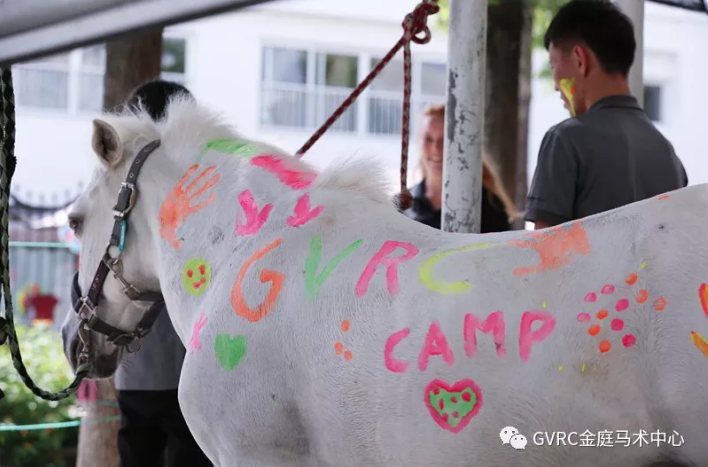 2019 Royal Dutch Riding Summer Camp