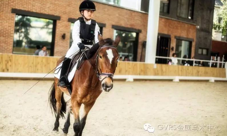 2016 GVRC Winter Riding Camp!