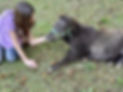 kid with baby horse.jpg