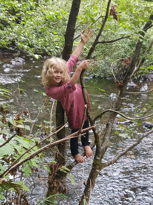 ellie tree.jpg