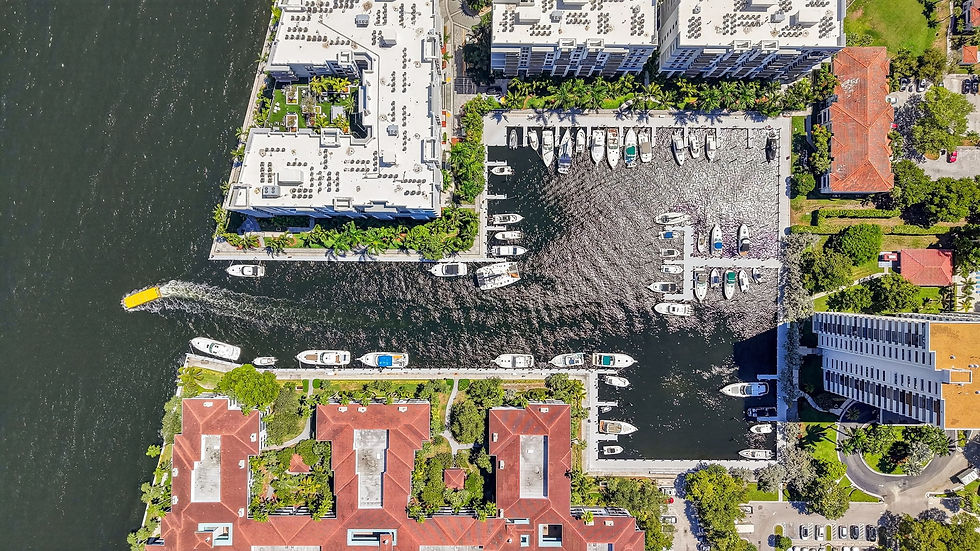 View from a High-End Balcony