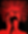 Red Dream AI