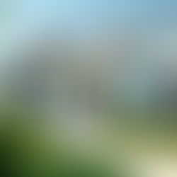 Revamp Your Home's Exterior with Ionian Cleaning Professionals