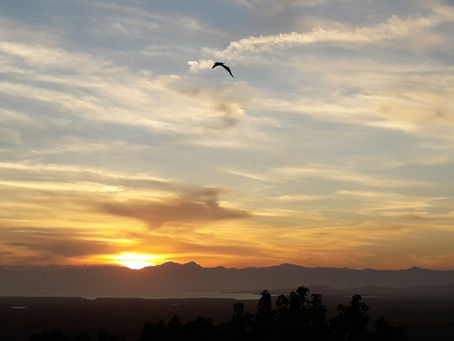 Aonde é o meu lugar?