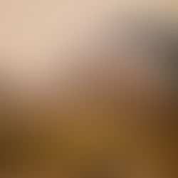 Foi dia de Rock bebê🤘. Qual foi o trabalho que você mais gostou?