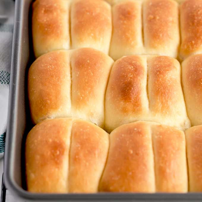 Frozen Parker House Rolls - Ready to Bake