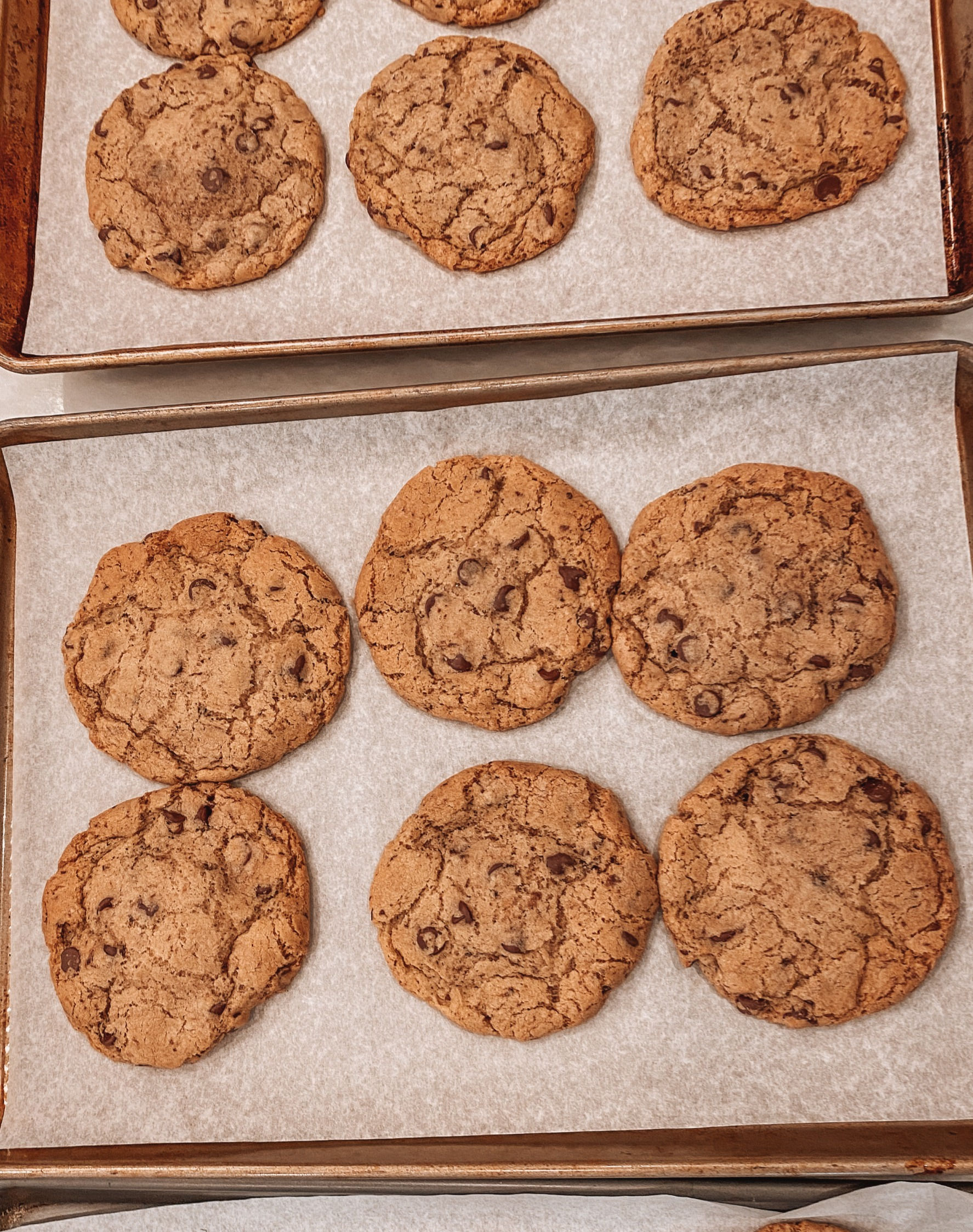 Chocolate Chip Cookies