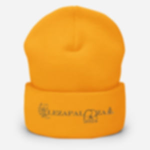2024 Design Light Cuffed Beanie