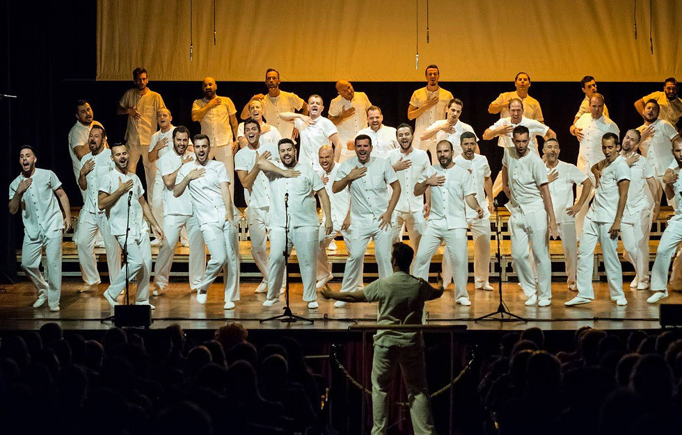 Cantantes, espectáculo Anima
