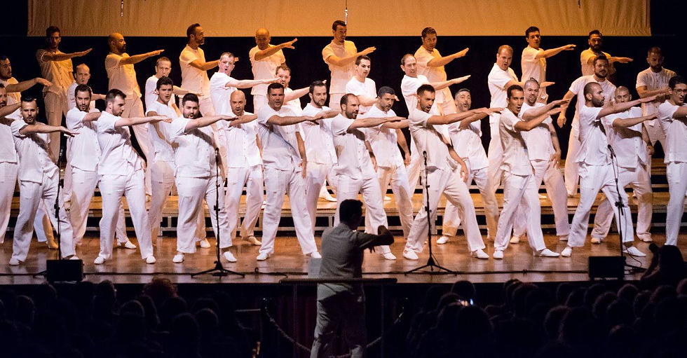 One night only, espectáculo Anima