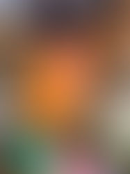 Creatief kamp in het kasteel 2026 - Thema Licht & Schaduw