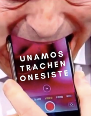 Una Mostra Che Non Esiste