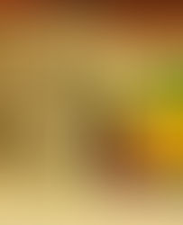 CINEMA ALL’APERTO NOUR PRESENTA: ASMARINA                         26 maggio 2016          