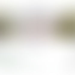 FINISSAGE — PASTORALE: Ichigo Ichie | 一期一会