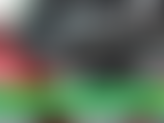 Under the Hood: Exploring Car Maintenance Essentials