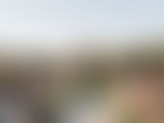 How to Choose the Perfect Wedding Photographer