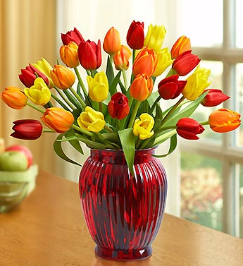 Тюльпаны Микс | flowers