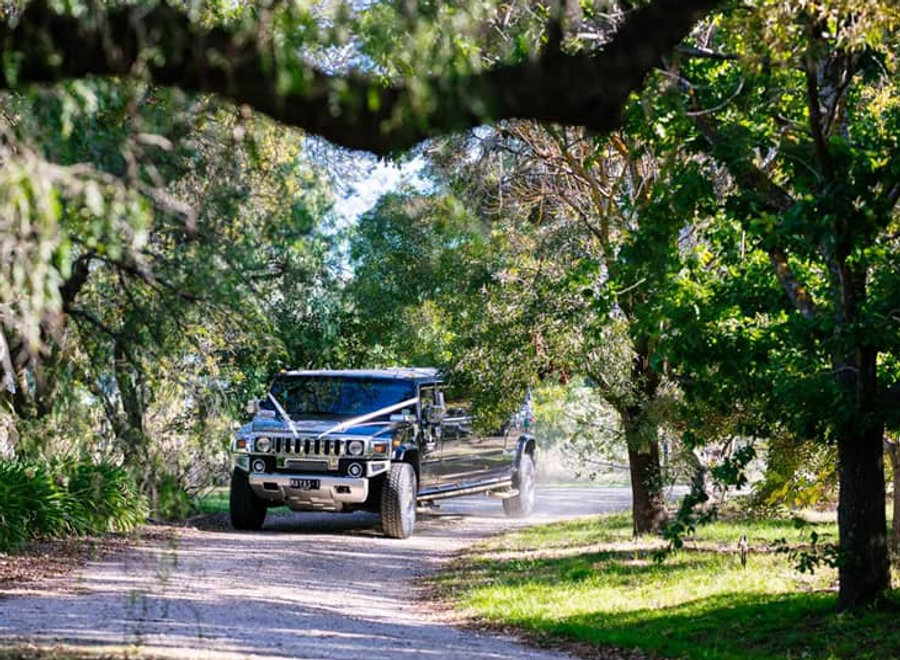 Maya's Hummer fleet