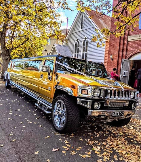 Sunset Jewel Gold Hummer