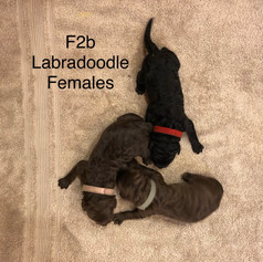 IMG_0095.jpeg