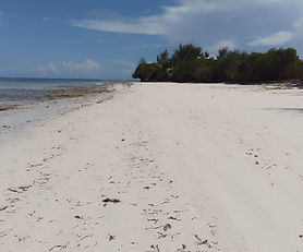 Prime Beach Front Plot, Michamvi
