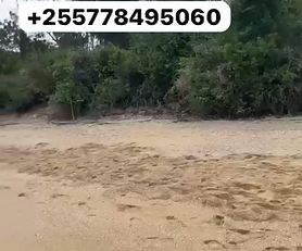  Beach Plot for Sale – Fukuchani, Zanzibar
