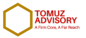 Tomuz Logo - Remove Background_edited.png