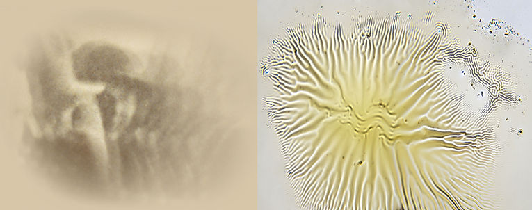 Time Structure Diptych XXVIII by Brandon Hudson