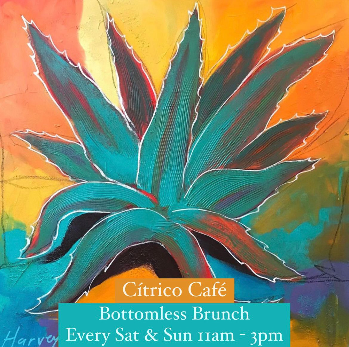 Brunch offered Daily Citrico Cafe