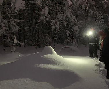 Winter Tour in nature