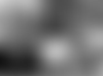 ממי ביקשה לאה גולדברג סליחה?