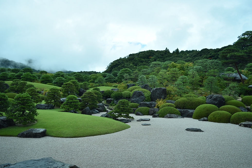 曇天と庭園。