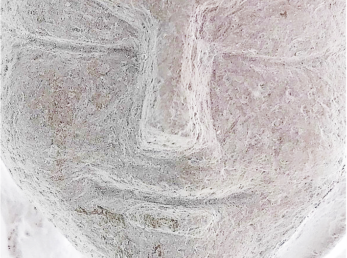 durgalal.wixsite.com