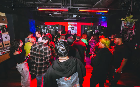 vinyl records house techno deep dance edm long beach store