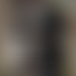 Artists Network - Best in Show: Pets Art Competition