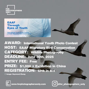 EAAF Migratory Bird Conservation - International Youth Photo Contest