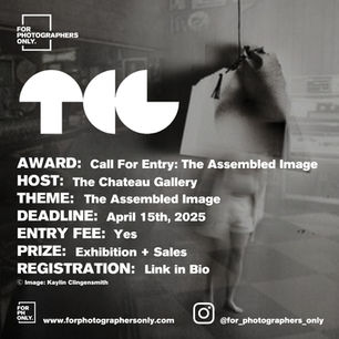 The Chateau Gallery - Call For Entry: The Assembled Image