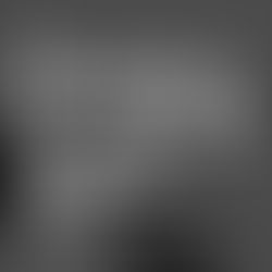 Black Box Gallery - Taking Pictures: 2025