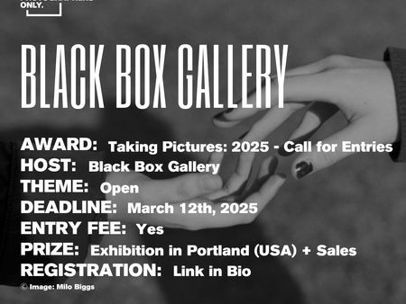 Black Box Gallery - Taking Pictures: 2025