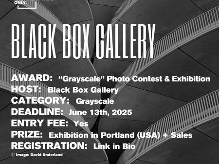 Black Box Gallery - "Grayscale" Photo Contest & Exhibition
