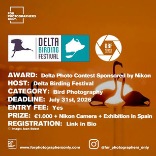 Delta Birding Festival - Bird Photography Contest