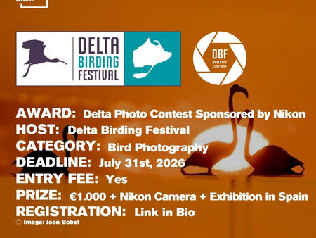 Delta Birding Festival - Bird Photography Contest