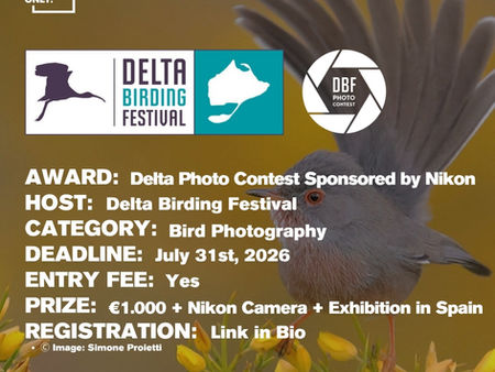Delta Birding Festival - Bird Photography Contest 2026