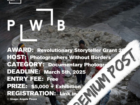 PWB - Revolutionary Storyteller Grant 2025