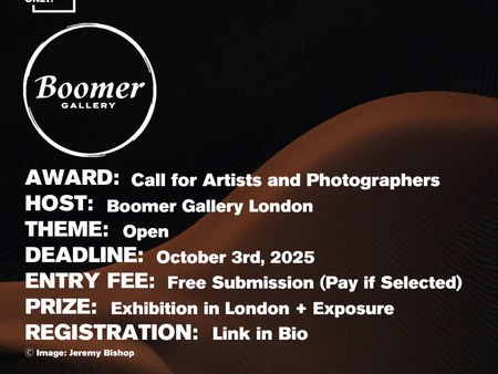 The Boomer Gallery - "New Voices" Call For Artists